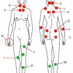 fibrom3